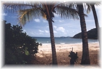 nice beach, Queensland