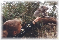 Annette & Koala