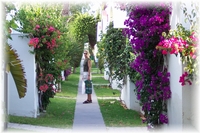 ... im Bungalow -- alles bl�ht ..