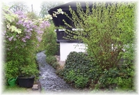 ... die Perlm�hle ... der Bach