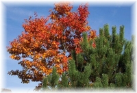 ... die Perlm�hle ... Herbst