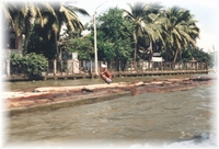 Holztransport auf dem Chao Phraya River