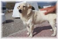 ... das ist Chef  !! nicht viel gr��er als eine Aktentasche ... 