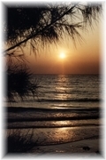 Florida Sonnenuntergang